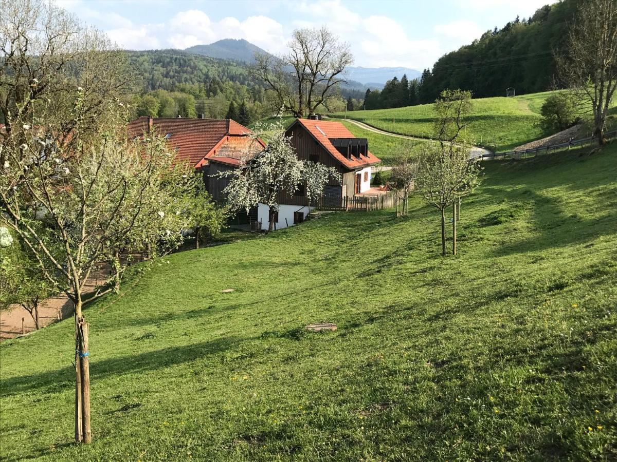 Pension Ober Siegsdorf Exterior foto